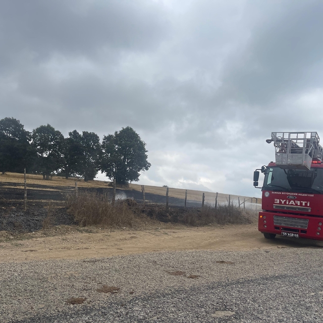 Ladik'te anız yangını ağaçlara sıçramadan söndürüldü