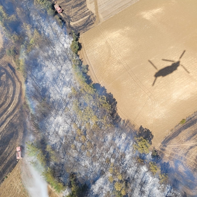 Adana'da çıkan orman yangını kontrol altına alındı