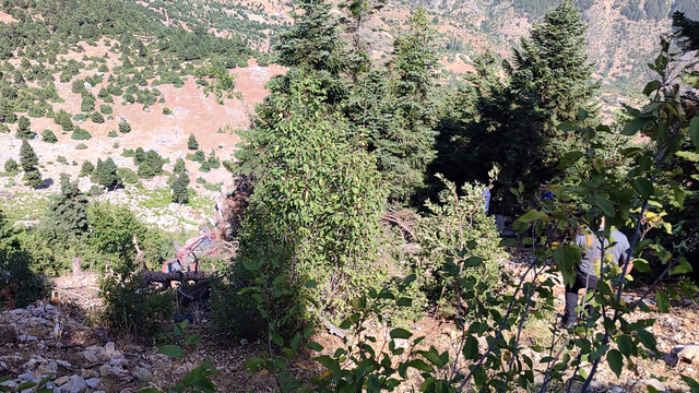 Adana'da otomobil uçuruma yuvarlandı: 2 ölü