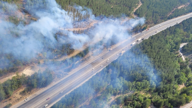 Adana Pozantı'da otomobilde çıkan yangın ormana sıçradı