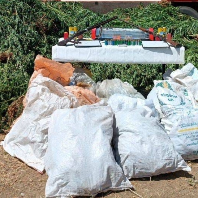 Muğla'da uyuşturucu ve tarihi eser operasyonunda 3 zanlı yakalandı