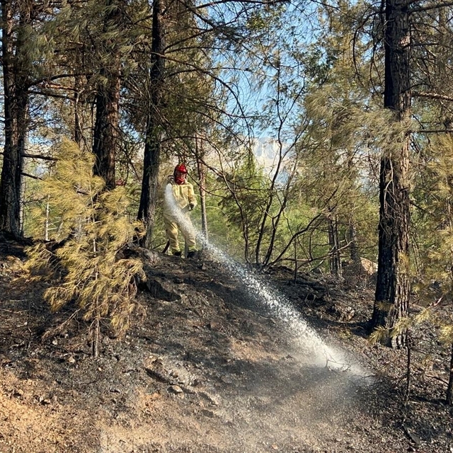 Otoyoldaki otomobilde çıkan yangın, ormana sıçradı (2)