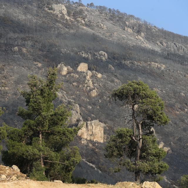 Pamukkale'deki orman yangını kontrol altına alındı