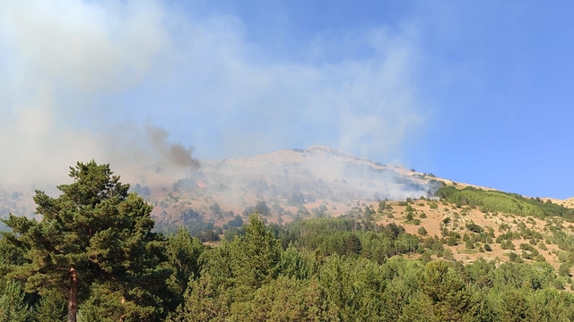 Gümüşhane'de dağlık alanda çıkan örtü yangını kontrol altına alındı