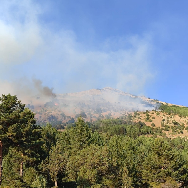 Gümüşhane'de dağlık alanda çıkan örtü yangını kontrol altına alındı