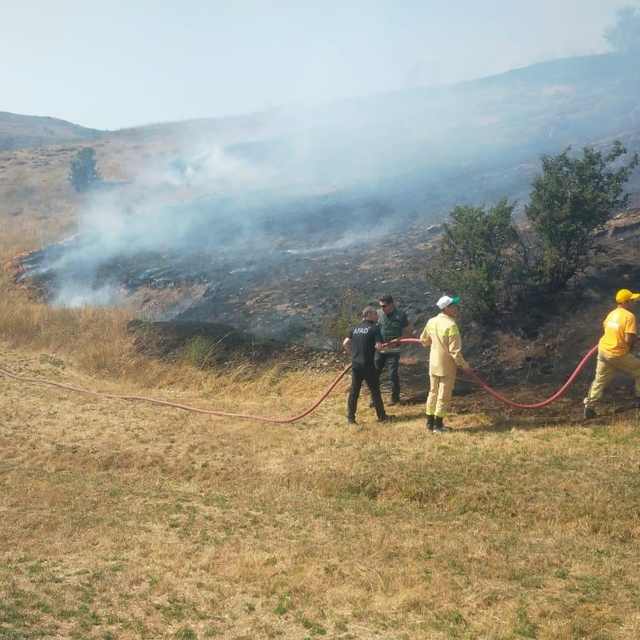 Tokat'ta çıkan yangında 10 dönümlük alan zarar gördü