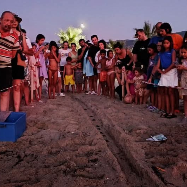 Kuşadası'nda caretta caretta yavruları denizle buluştu