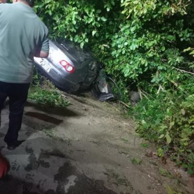 Otomobil ağaçlık alana devrildi: 3 yaralı