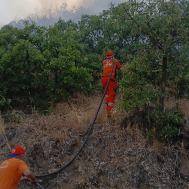 Bingöl'de çıkan orman yangını söndürüldü