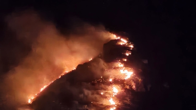 Marmara Adası'nda orman yangın
