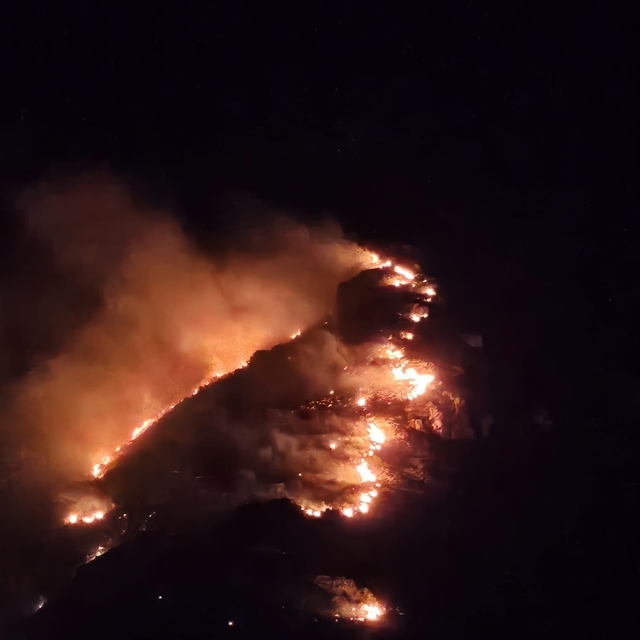 Marmara Adası'nda orman yangın
