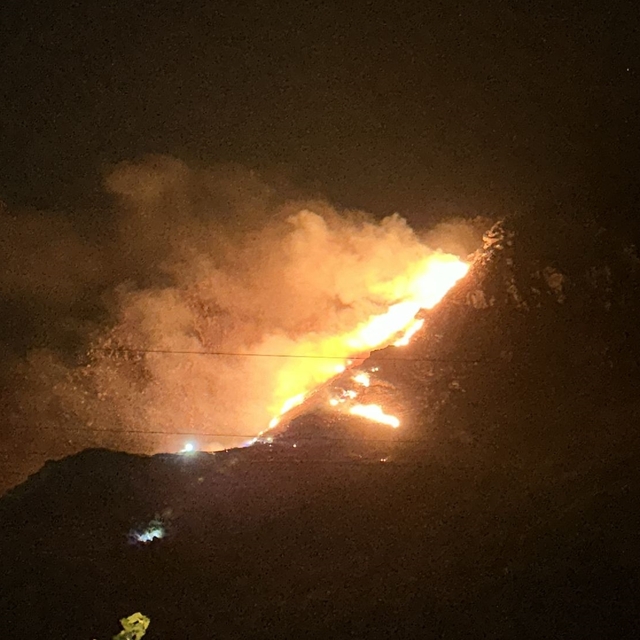 Balıkesir Marmara Adası'nda çıkan yangına müdahale ediliyor