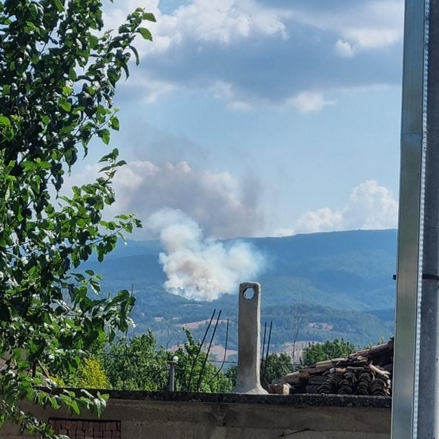 Bursa'da tarlada çıkan yangın söndürüldü