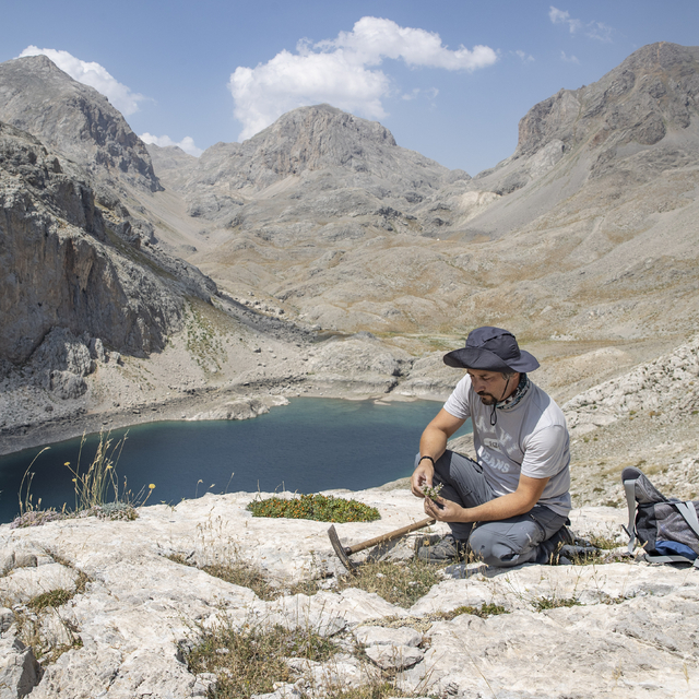 Bitkiler için Anadolu'yu gezen akademisyen, Tunceli'de 5 yeni türü literatü...