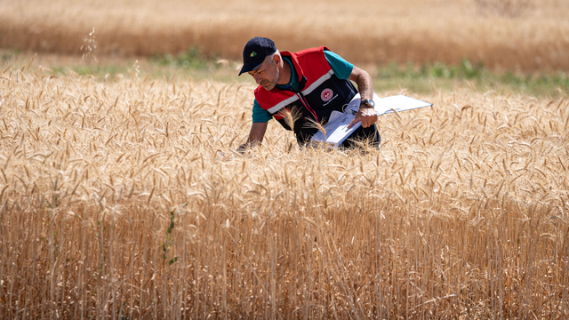Erzurum'da biçerdöverler, dane kaybını önlemek için denetleniyor