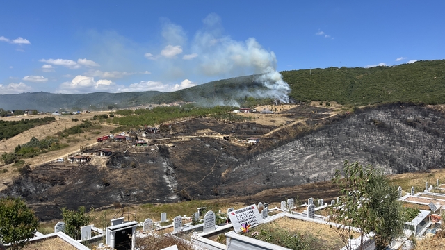 Kocaeli'de ot yangını