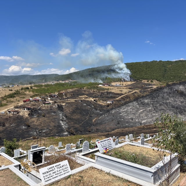 Kocaeli'de ot yangını
