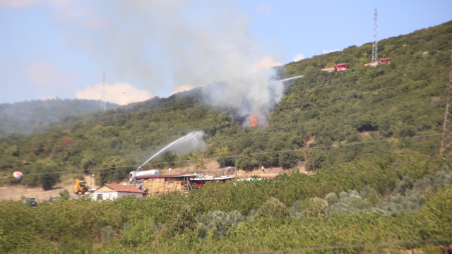 Kocaeli'de ot yangını (2)