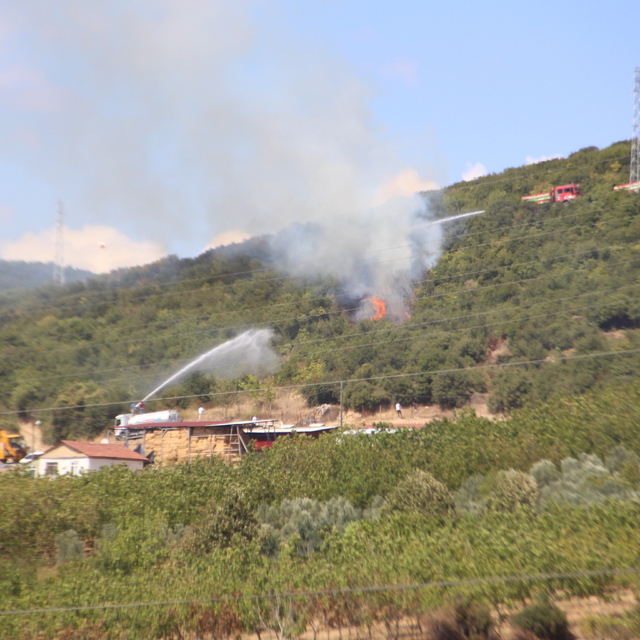 Kocaeli'de ot yangını (2)