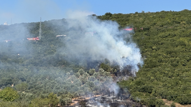 Kocaeli'de ağaçlık alanda çıkan yangın söndürüldü