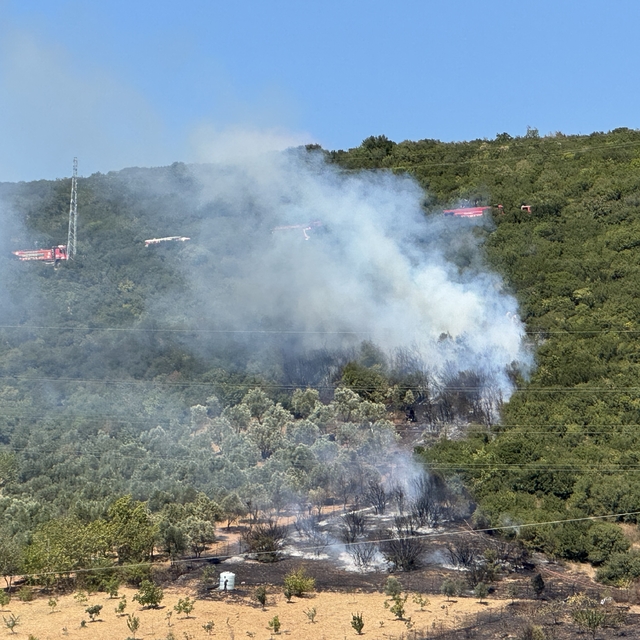 Kocaeli'de ağaçlık alanda çıkan yangın söndürüldü