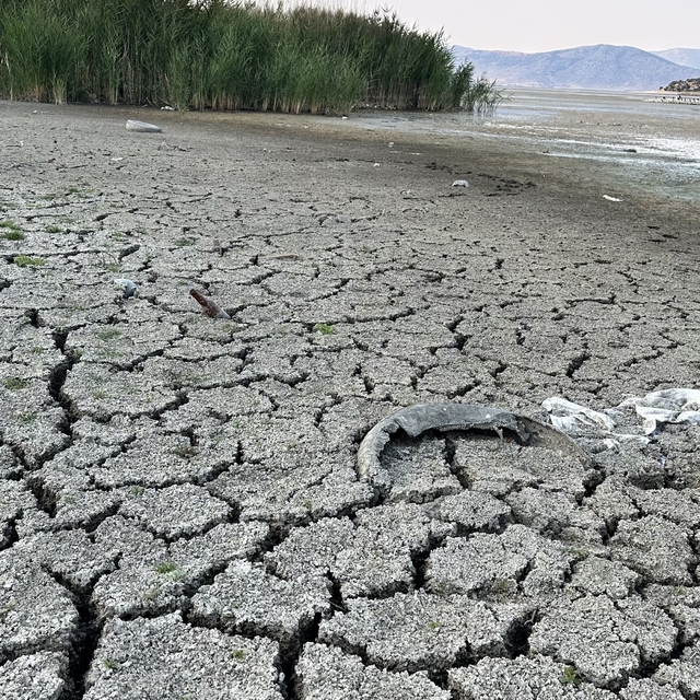 Kuraklık, Mada Adası'ndaki Yörüklerin yaşamını olumsuz etkiledi
