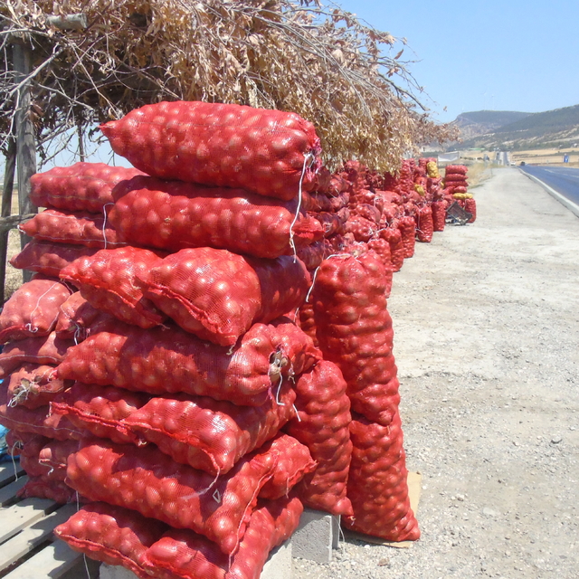 Gaziantepli çiftçi ürettiği soğanı yol kenarına kurduğunu tezgahta satıyor