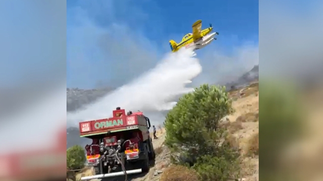 Marmara Adası'ndaki orman yangınına müdahale sürüyor (2)