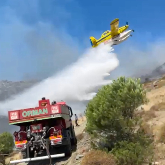 Marmara Adası'ndaki orman yangınına müdahale sürüyor (2)