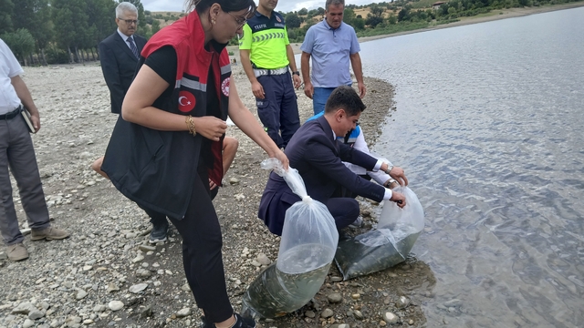 Uluköy Barajı'na 25 bin yavru sazan balığı bırakıldı