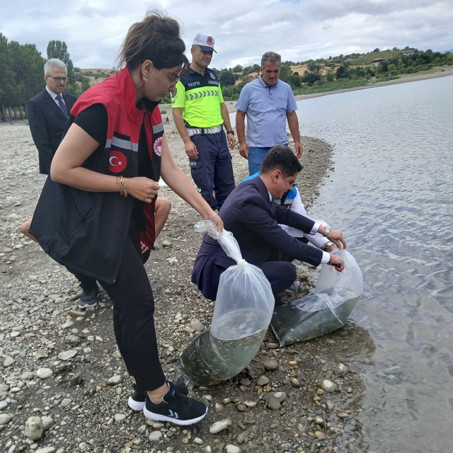 Uluköy Barajı'na 25 bin yavru sazan balığı bırakıldı