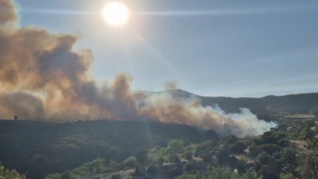 Balıkesir'de orman yangını
