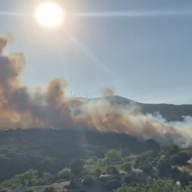 Balıkesir'de orman yangını
