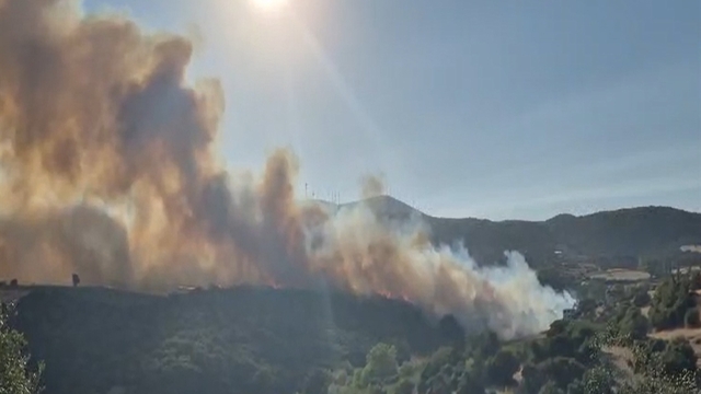 Susurluk'taki orman yangını 12 saat sonra kontrol altına alındı
