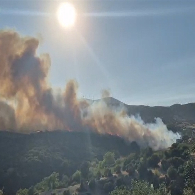 Susurluk'taki orman yangını 12 saat sonra kontrol altına alındı