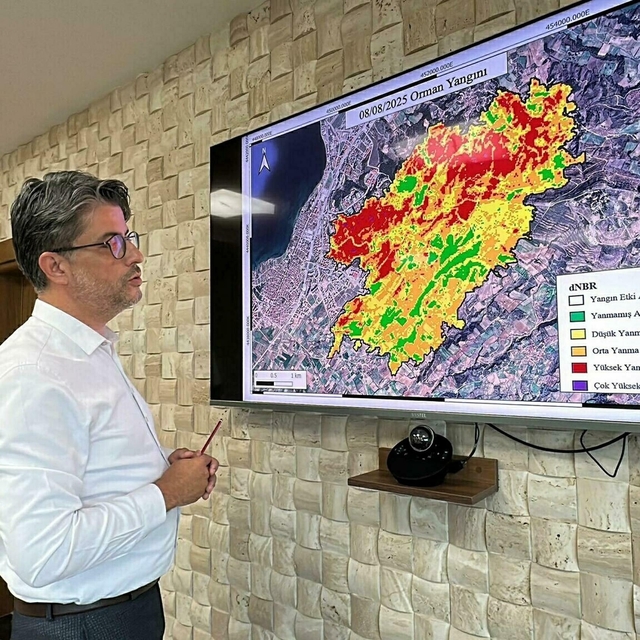 Çanakkale'deki iki büyük yangının zararı uydu fotoğraflarında