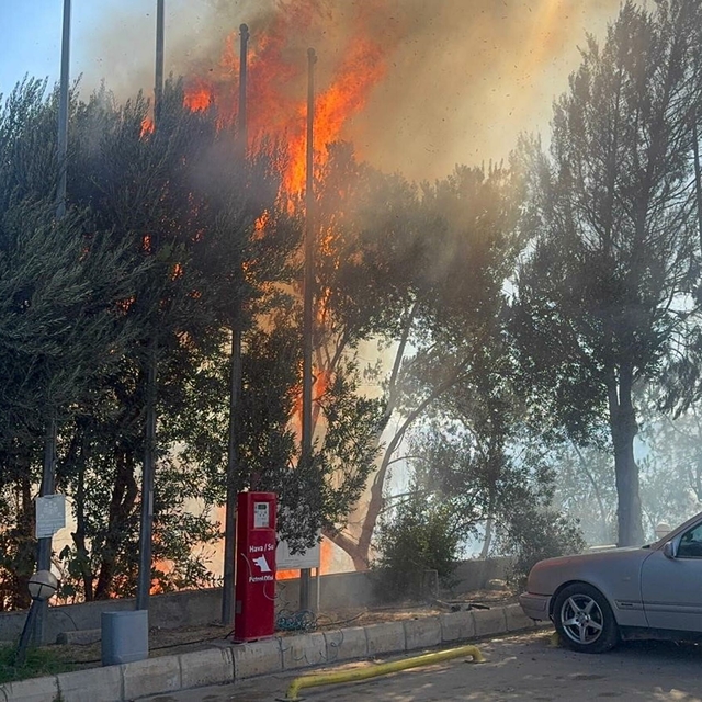 Yol kenarında çıkan yangın akaryakıt istasyonuna ulaşmadan söndürüldü