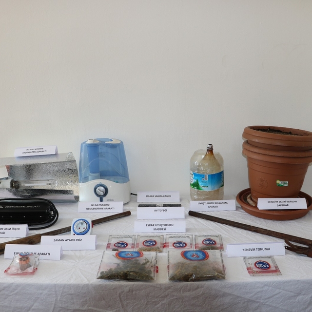 Tunceli'de evinde kenevir yetiştiren şüpheli yakalandı