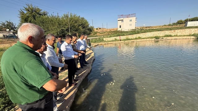 Kozluk Kaymakamı Böçkün köylerde incelemelerde bulundu