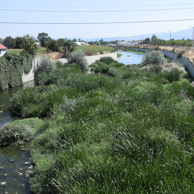 Bolu'da tarım arazilerinin sulanmasında kullanılan derenin bazı bölümleri k...