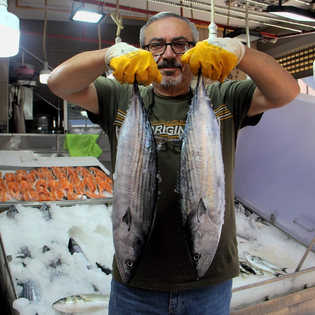 Sinop'ta sezonun ilk torikleri tezgahlarda yerini aldı