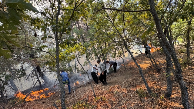 Adana'da orman yangını