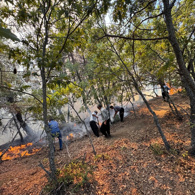 Adana Feke'de orman yangını çıktı