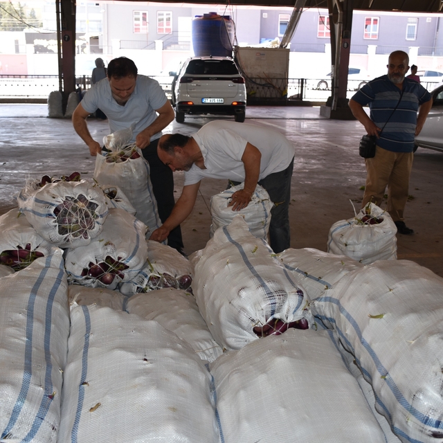 "Üreticiden Tüketiciye Tarla Fiyatına" Projesi hayata geçirildi