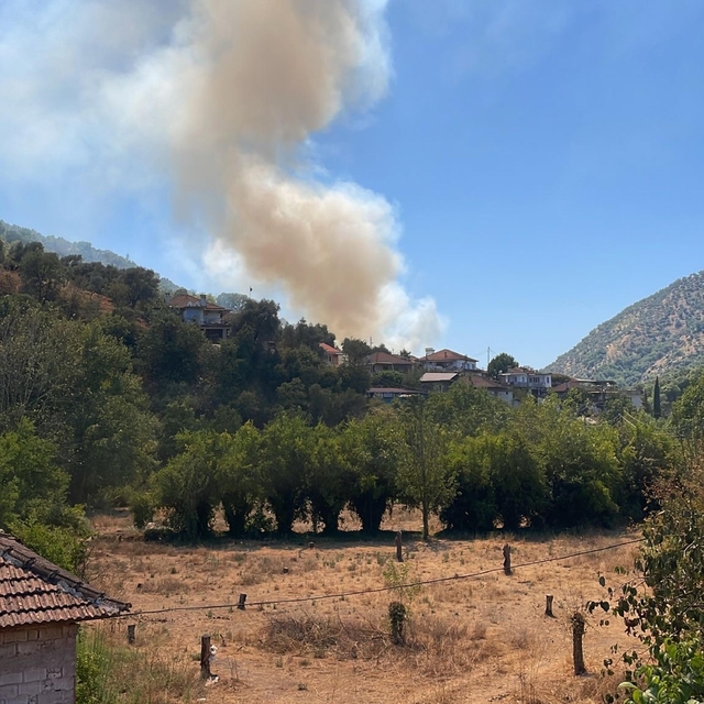 Aydın'da zeytinlikte çıkan yangın 1,5 saatte kontrol altına alındı