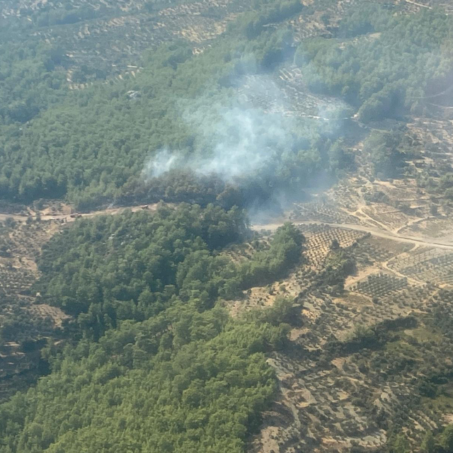 Muğla'da çıkan orman yangınına müdahale ediliyor