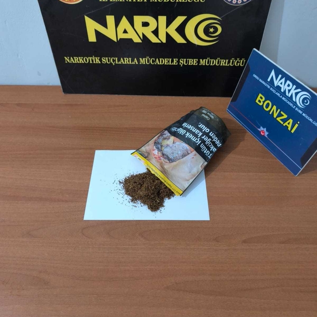 Ordu'da uyuşturucu ele geçirilen otomobildeki 2 zanlı tutuklandı