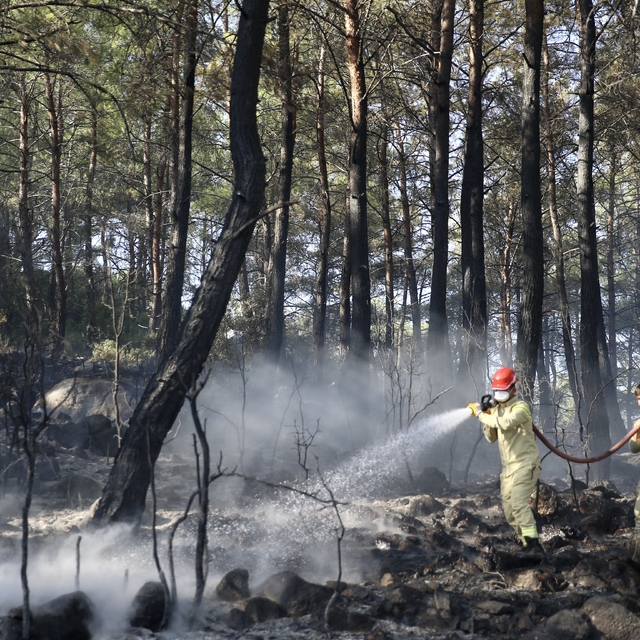 Muğla'da çıkan orman yangını kontrol altına alındı