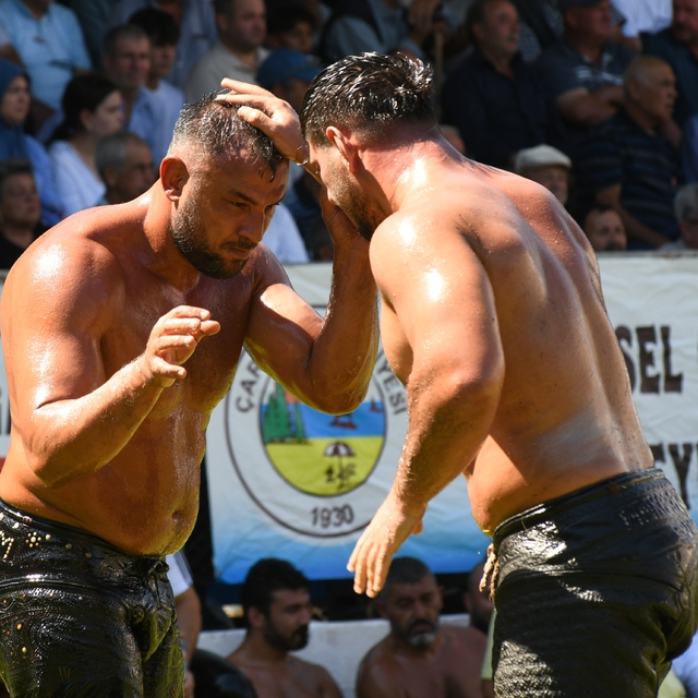 291. Tarihi Çardak Yağlı Pehlivan Güreşleri'nde başpehlivanlığı Feyzullah A...