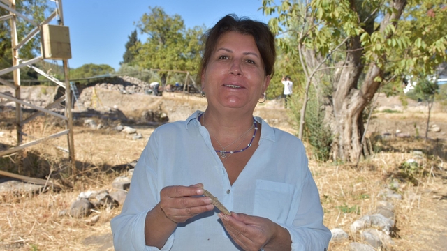 Galeri